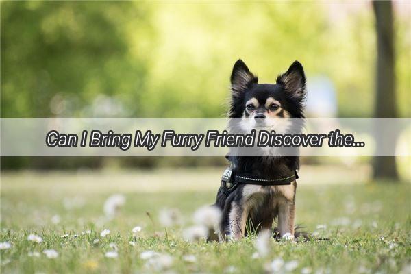 Can I Bring My Furry Friend Discover the Ultimate Guide to PetFriendly Destinations